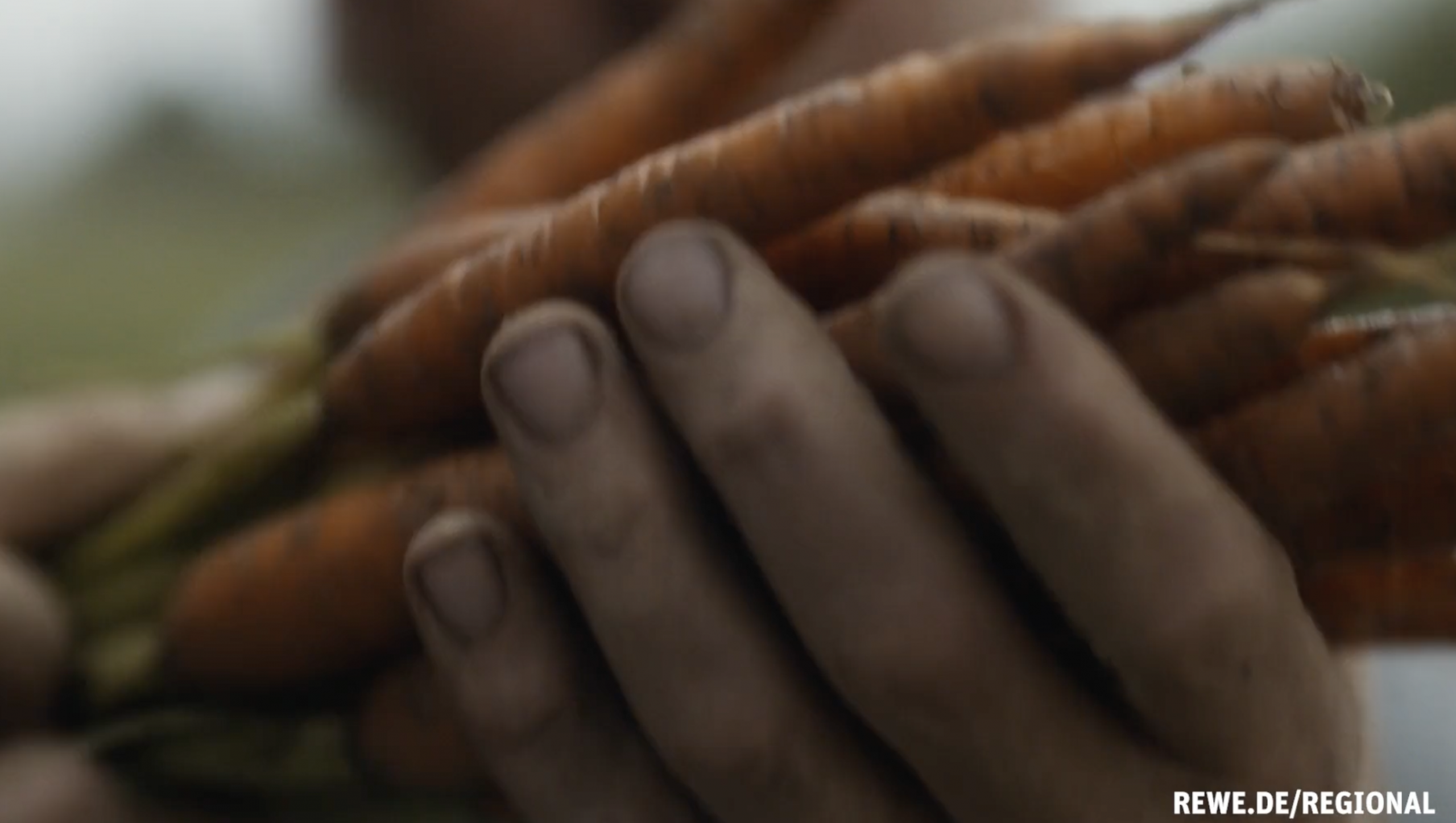 THJNK-HAMBURG_Stefanie-Hilker_Creative-Director_Rewe_Dein-Markt_REWE-Regional_TVC